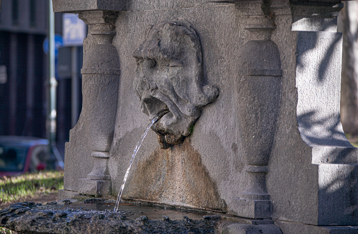 fontana mascherone giardini Lamarmora